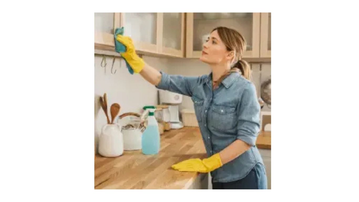 Professional Cleaning Services for a Healthier and Better Lifestyle