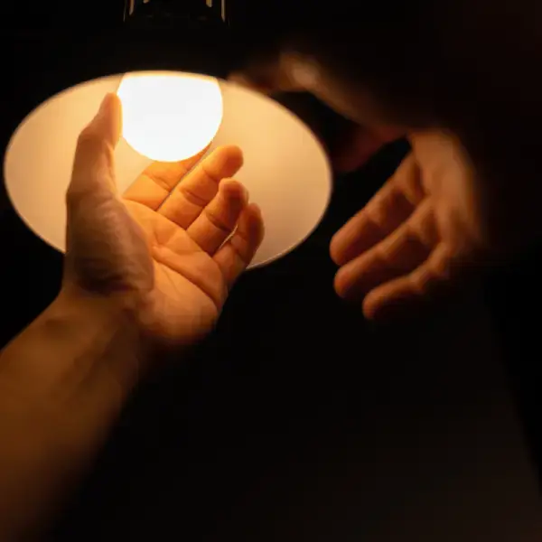 Bulb Holder Installation Services