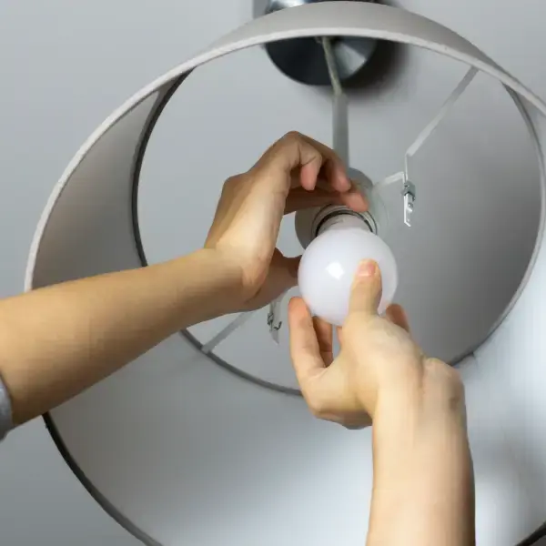 Bulb Holder Installation Services