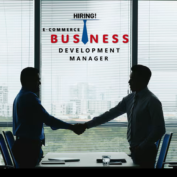E-commerce Business Development Manager / Head