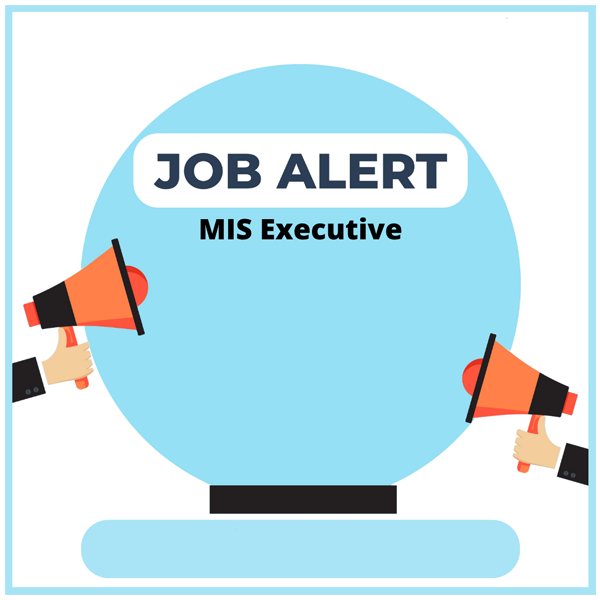 MIS Executive