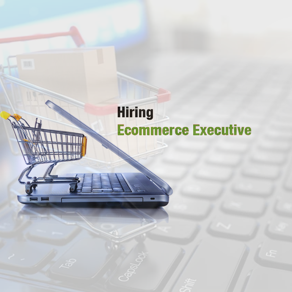 E Commerce Executive/ Manager