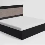 Godrej-Apex V2 King Size Engineered Wood Bed with Pull-Out Storage