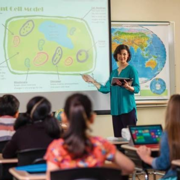 School Curriculum Coaching