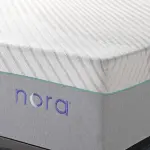 Wayfair-Nora 13" Ultra Plush Gel Memory Foam Mattress with Icy Cool Cover