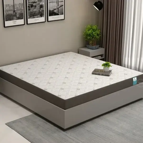 WoodenStreet-Penguin Ortho-Memory Foam Mattress